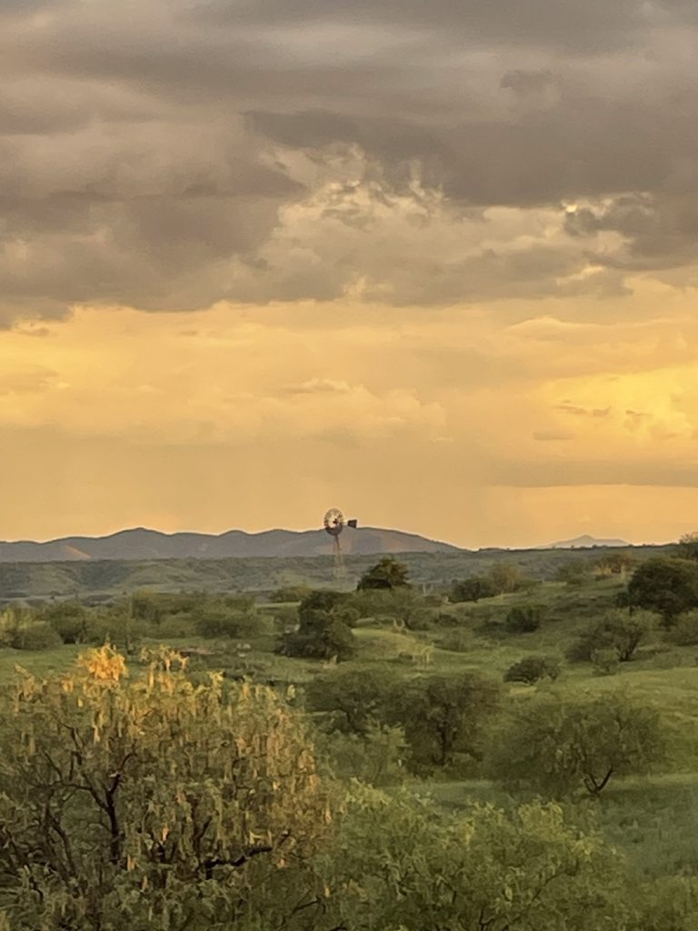 Beautiful Landscape